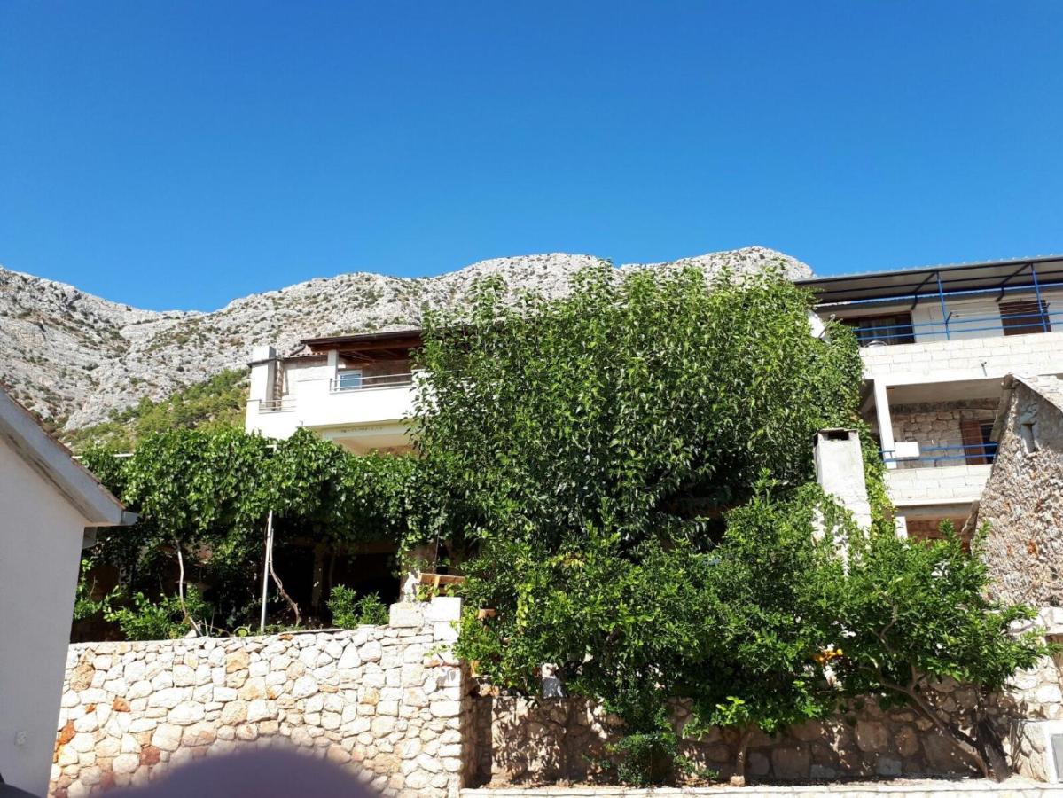 Apartments With A Parking Space Ivan Dolac, Hvar - 8753 Экстерьер фото